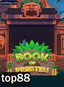 Book of Priestess: Um Mergulho no Fascinante Mundo do Jogo