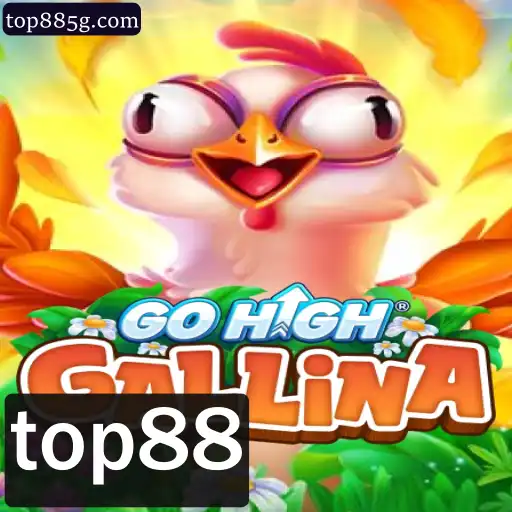 Descubra GoHighGallina: A Diversão do Novo Jogo com 'top88'